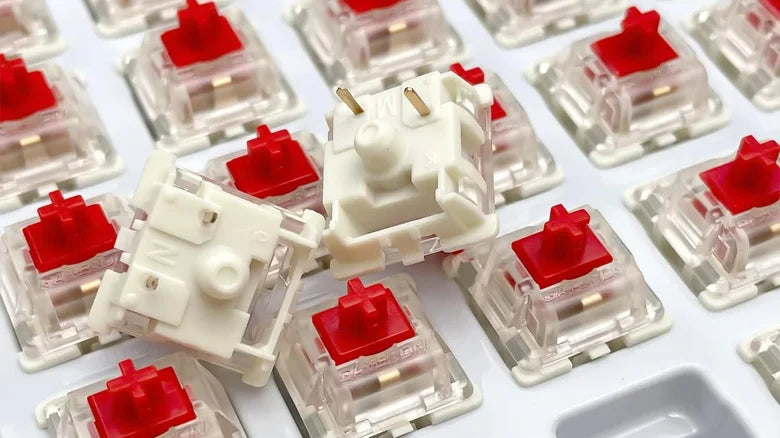 IPOPULAR gaming Switches