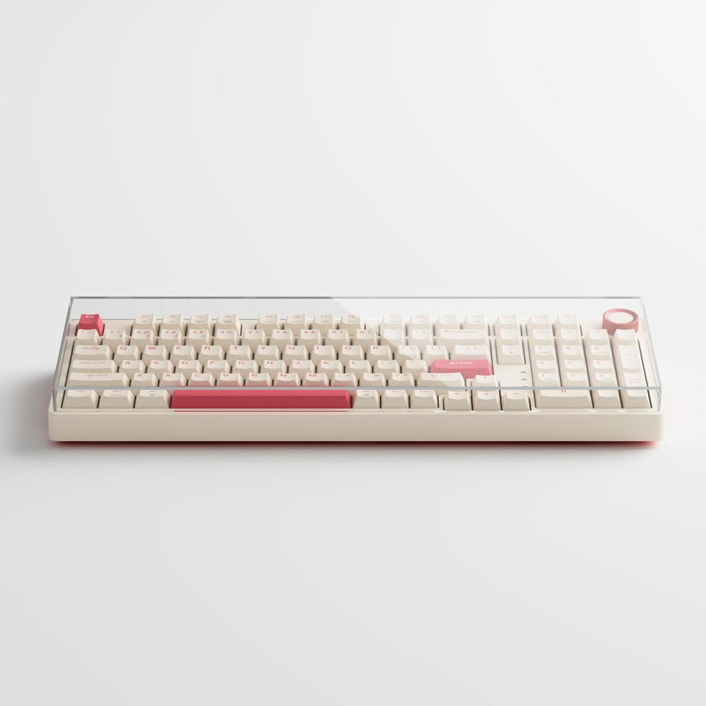 JAMESDONKEY RS2 Acrylic Dust Cover