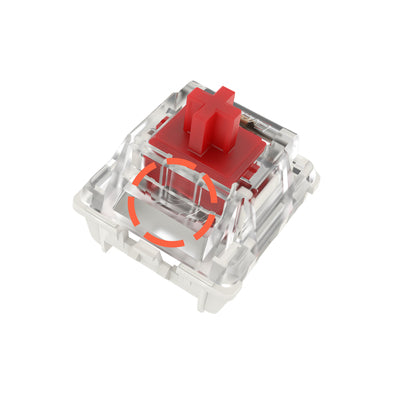 Gateron EverFree EF Switches - IPOPULARSHOP