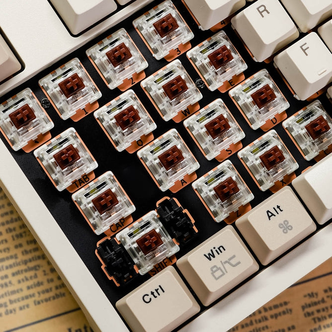 JAMESDONKEY RS2 Hot-swap White Light Mechanical Keyboard - IPOPULARSHOP