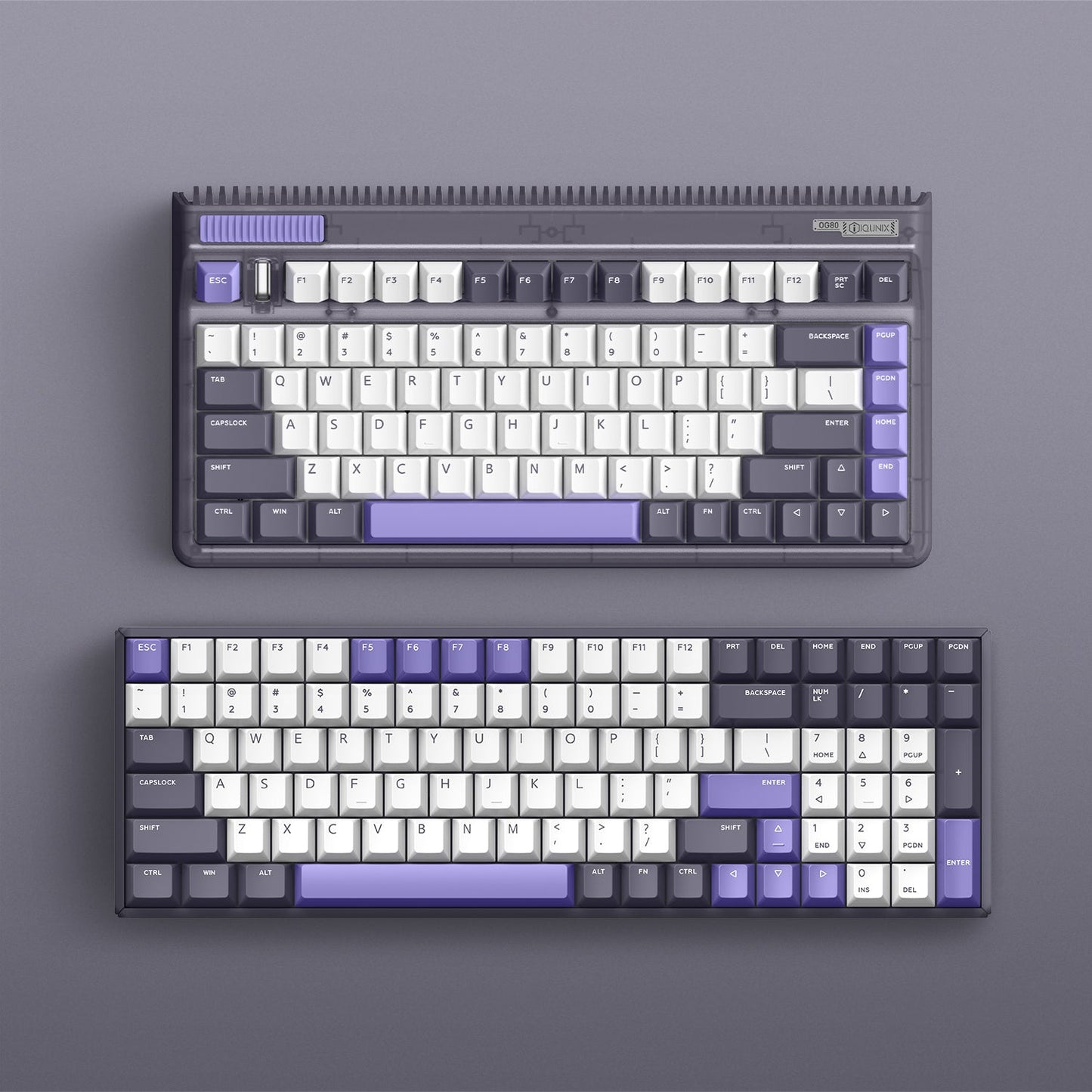 IQUNIX F97 / OG80 Lavandin Wireless Mechanical Keyboard - IPOPULARSHOP