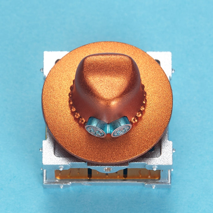 ZOMOPLUS One Piece Ace Artisan Keycap - IPOPULARSHOP