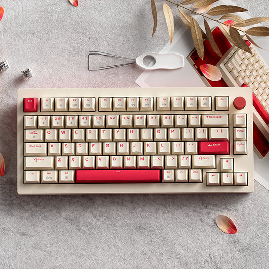 JAMESDONKEY A3 Gasket Mechanical Keyboard - IPOPULARSHOP