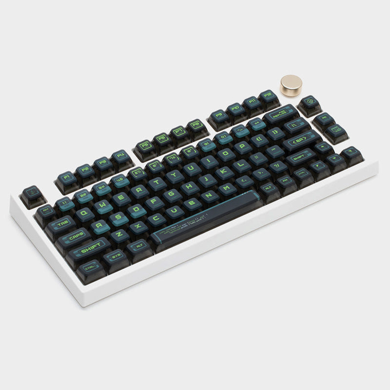 PIIFOX Binary ASA Profile Keycaps - IPOPULARSHOP