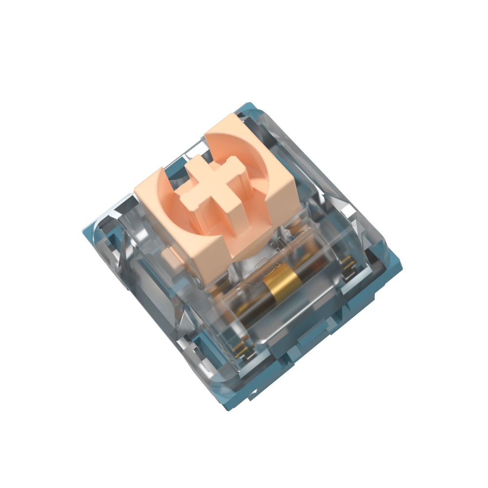 Kailh & NEWMEN Indigo Naturalis Tactile Switches - IPOPULARSHOP
