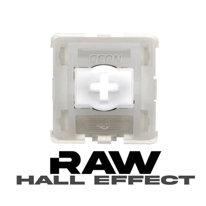 GEON Raw HE Magnetic Switches