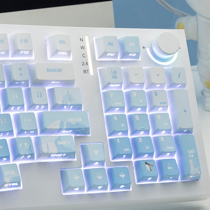 PIIFOX Ice Age OEM Profile Keycap