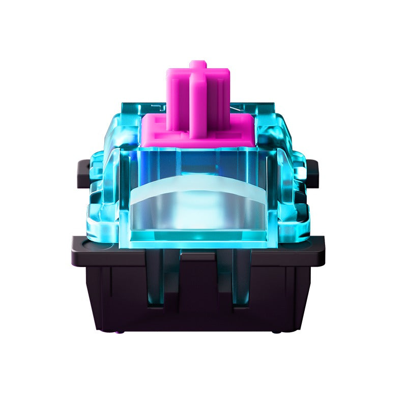 Titan Nation Miami Gaming Magnetic Switches