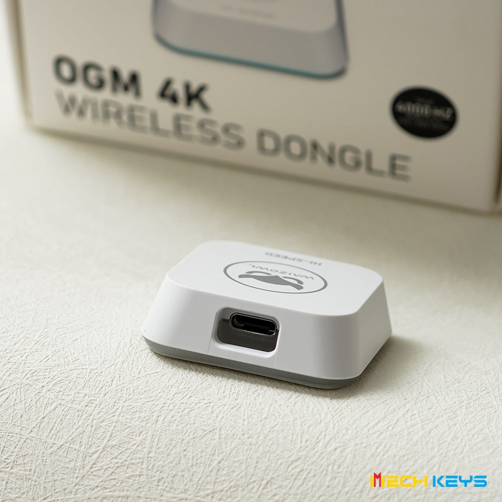 WAIZOWL OGM Cloud 4khz Mouse