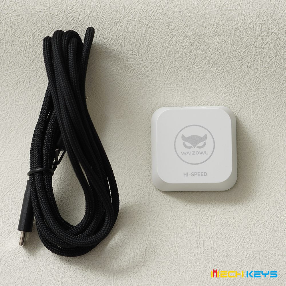 WAIZOWL OGM Cloud 4khz Mouse