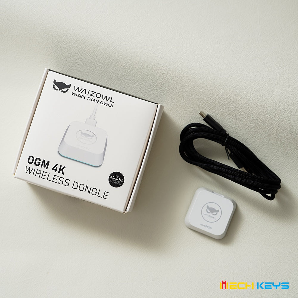 WAIZOWL OGM Cloud 4khz Mouse