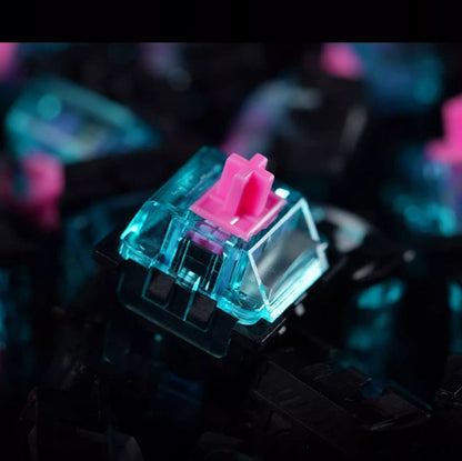 Titan Nation Miami Gaming Magnetic Switches
