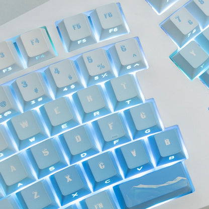 PIIFOX Ice Age OEM Profile Keycap