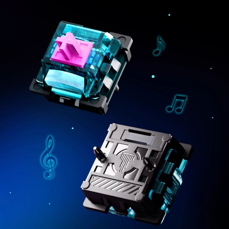 Titan Nation Miami Gaming Magnetic Switches