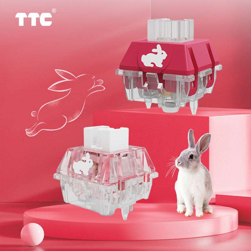 TTC Rabbit RGB Mechanical Switches - IPOPULARSHOP