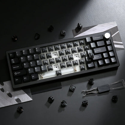YUNZII Onyx Tactile Clicky Mechanical Switch