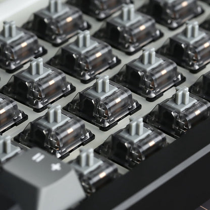 YUNZII Onyx Tactile Clicky Mechanical Switch
