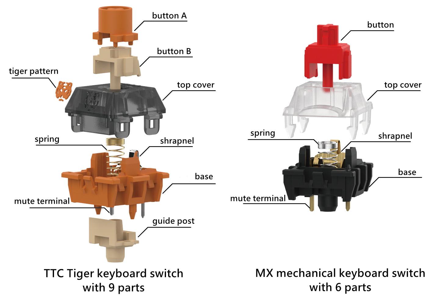 TTC Tiger Switches, Standard / RGB / Original Version  (Factory Pre-lubed) - IPOPULARSHOP